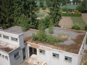 Nechtěná zelená střecha